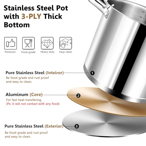 10 QT Stainless Steel Stock Pot with Lid