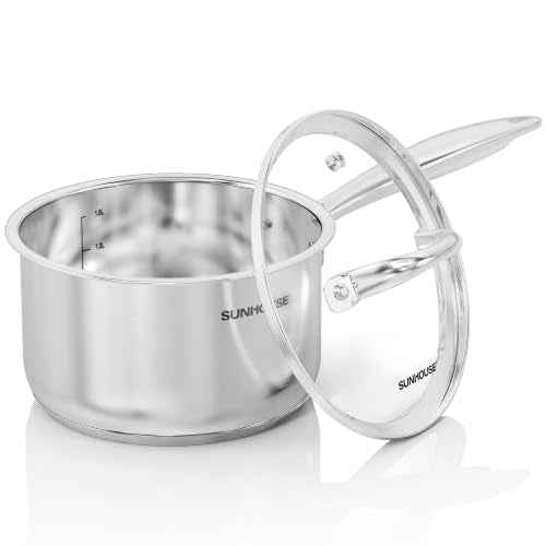 Stainless Steel Saucepan