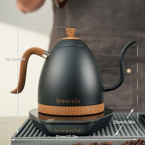 Artisan Electric Gooseneck Kettle