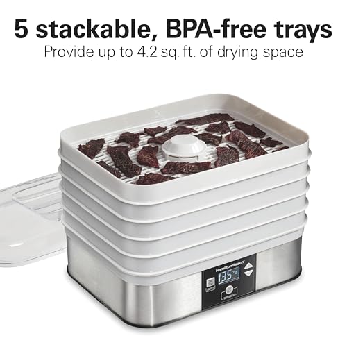 Digital Food Dehydrator for Fruit