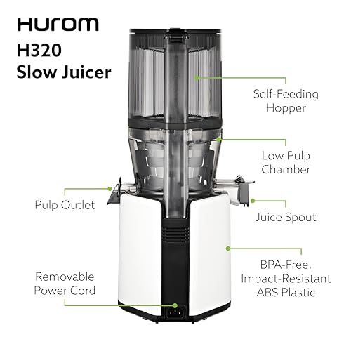 H320N Cold Press Juicer Machine