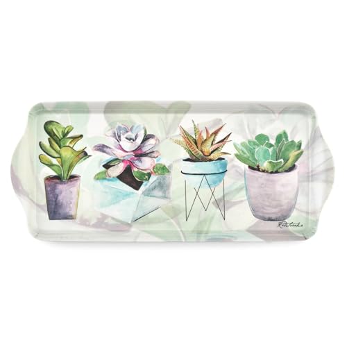 Succulent Sandwich Tray Decorative Rectangular Melamine