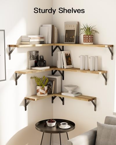 Amada Solid Paulownia Wood Wall Shelves (6 Count)