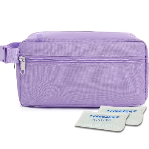 Freezable Snack Bag with Removable Ice Packs