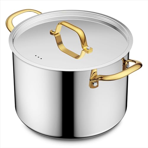 8 QT Stainless Steel Stock Pot with Lid