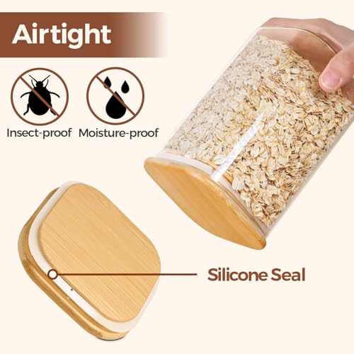 Square Glass Containers with Lids 0.7 Qt (4 Count)