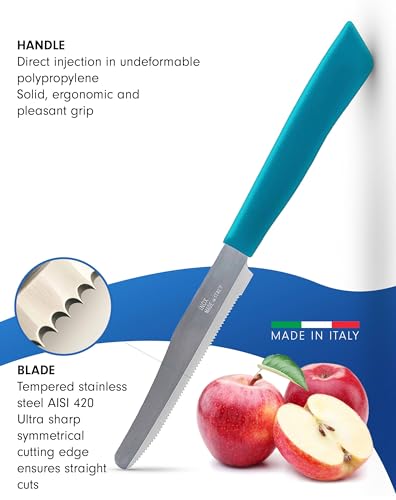 6 kitchen Knives Set (6 Count)