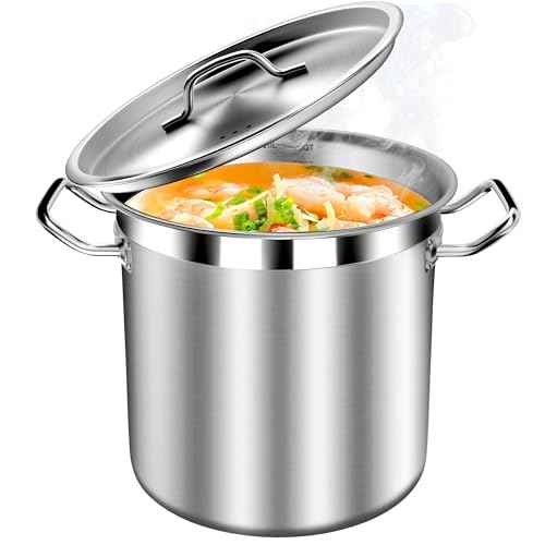 Stock Pot 20 Quart with Lid