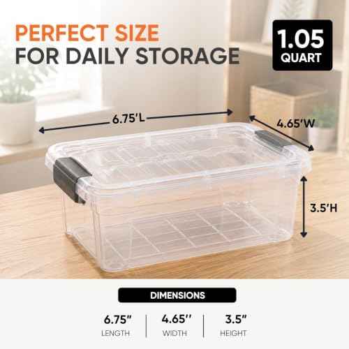 1.05 Quart Mini Clear Plastic Storage Container with Lid (2 Count)