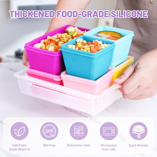 Silicone Freezer Molds with Lids (6 Count)