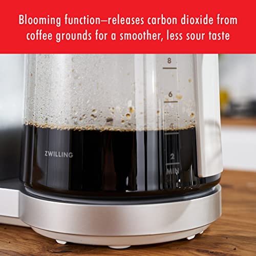 Enfinigy Glass Drip Coffee Maker 12 Cup (12 Count)