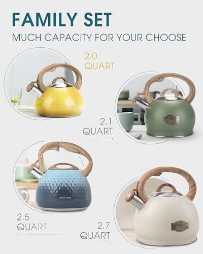 2.1 Qt Whistling Tea Kettle for Stovetop with Heat
