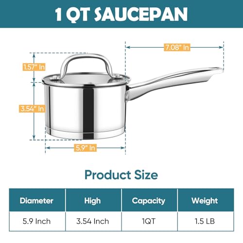 1 Qt Saucepan with Lid