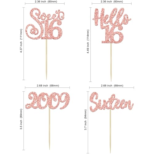 24pcs 16th Birthday Cupcake Toppers (24 Count)