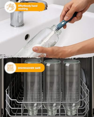 Clear Glass Water Bottles with Stainless Steel Lids 32 oz (3 Count)