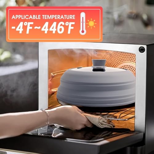 9.8 Inch Silicone & Glass Microwave Splatter Cover