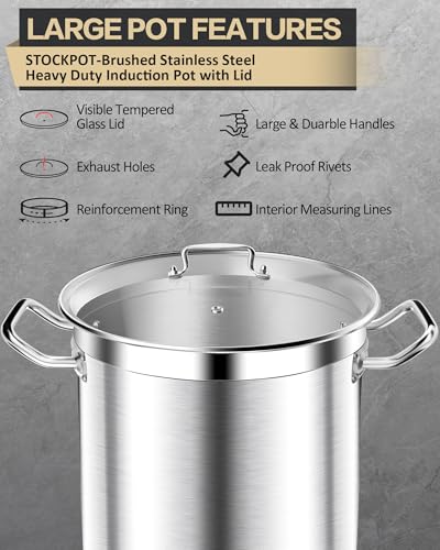 Stainless Steel 20 Quart Stockpot with Tempered Glass Lid