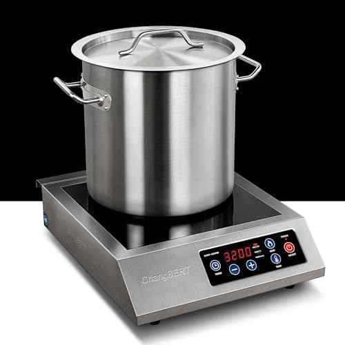Portable Induction Cooktop 208