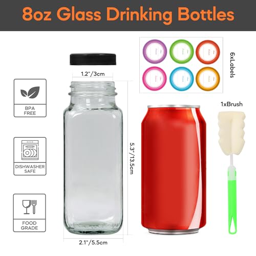 8oz 6 Pack Glass Juice Bottles with Leak (6 Count)