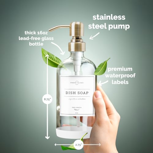 Clear Glass Soap Dispenser (2 Count)