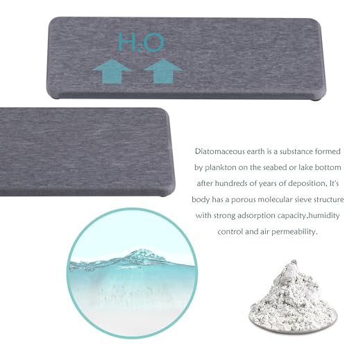 2Pcs Stone Soap Trays Water Absorbing Diatomite Coaster (2 Count)