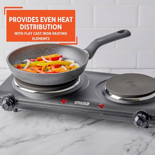 Double Electric Hot Plate