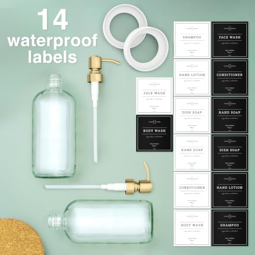 Clear Glass Soap Dispenser (2 Count)