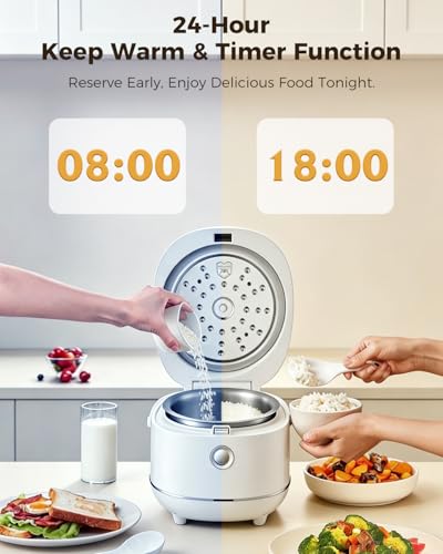Stainless Steel Rice Cooker Small 6 Cup