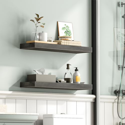 Floating Shelves for Wall (2 Count)