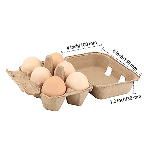 40 Pack 6 Count Egg Cartons (40 Count)