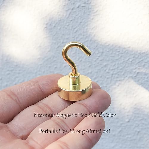 Magnetic Hooks (10 Count)