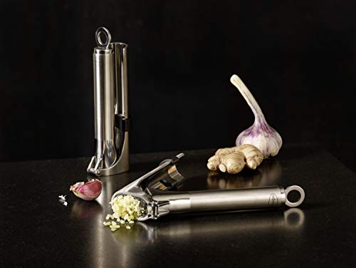 Stainless Steel Mincing Garlic Press