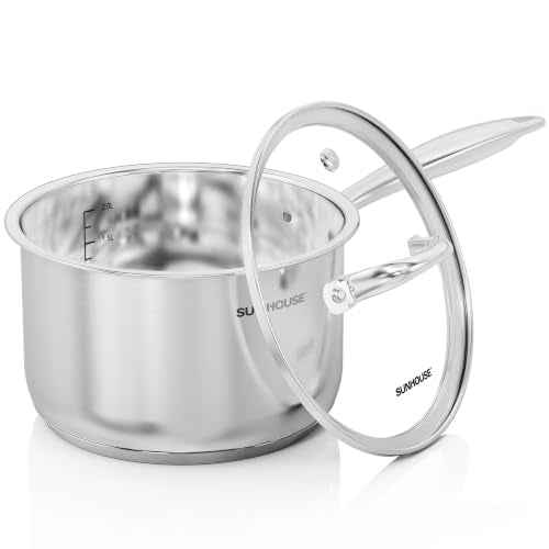 Stainless Steel Saucepan