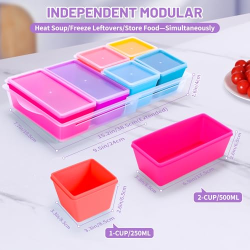 Silicone Freezer Molds with Lids (6 Count)