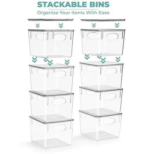 Clear Toy Storage Bins with Lids (2 Count)