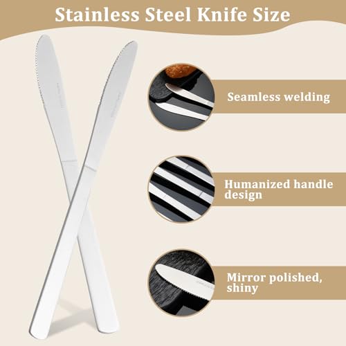72 PCS Dinner Knifes Set (72 Count)