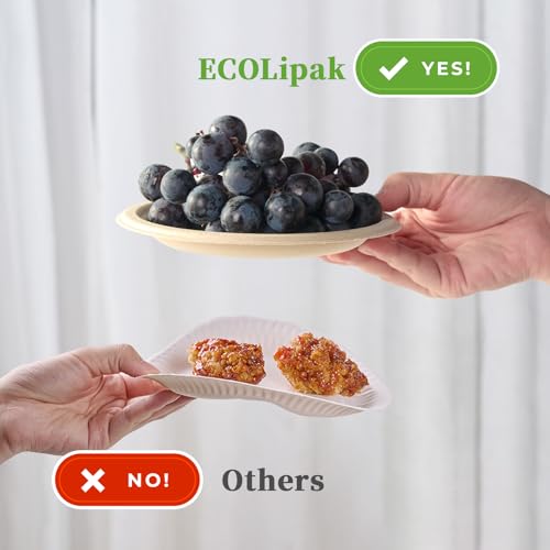 6 in 500 Pack Natural Disposable Compostable Dessert Paper Plates (500 Count)