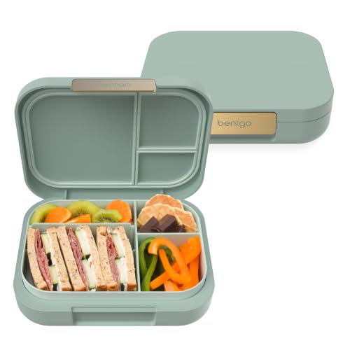 Modern Adult Bento Lunch Box with 3