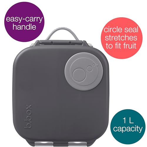 Mini Lunch Box