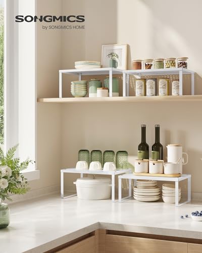 Set of 4 Metal Spice Racks (4 Count)