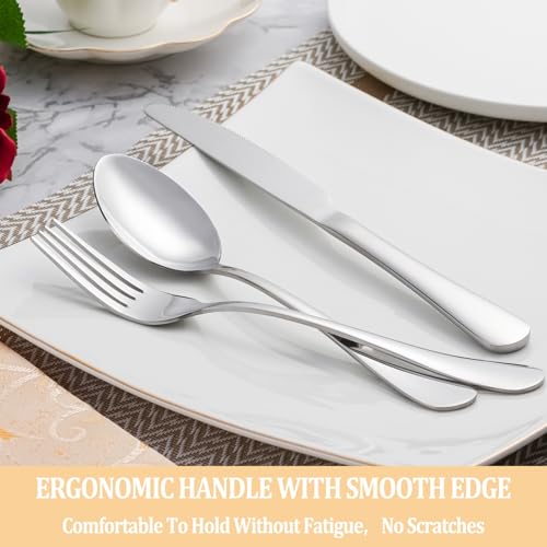20 Piece Silverware Set Service for 4 (20 Count)