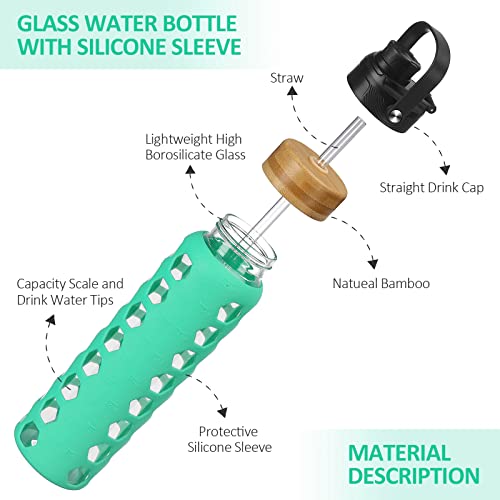 Glass Water Bottle