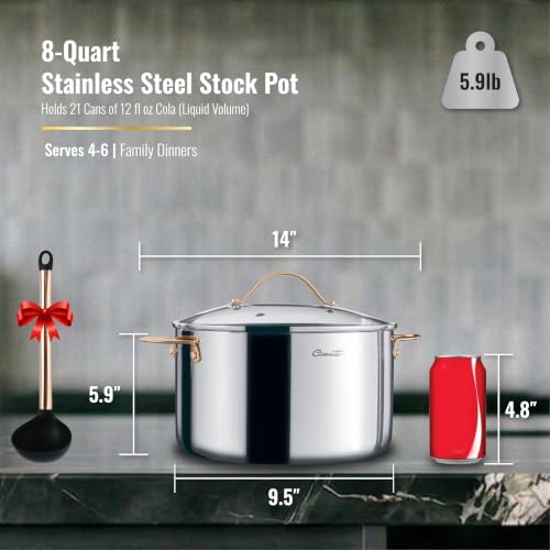 8 Quart Stock Pot