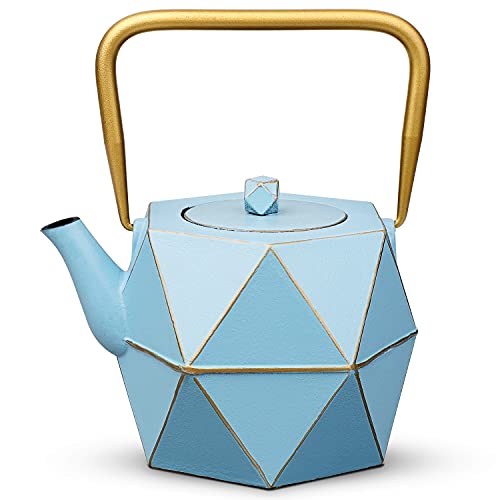 Cast Iron Teapot