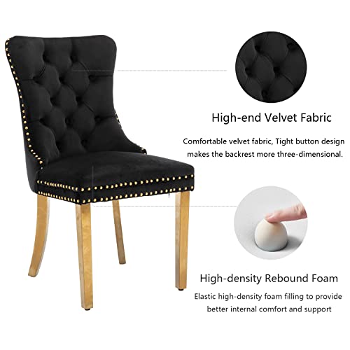 Black and Gold Velvet Dining Chairs Set of 2 (2 Count)