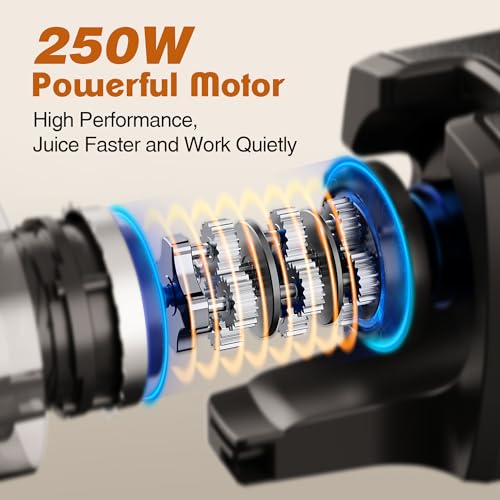 Cold Press Juicer