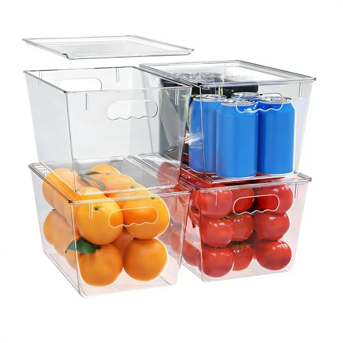 4 Pack Clear Storage Bins with Lids (4 Count)