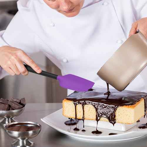 Silicone Spatula Set of 5 (5 Count)