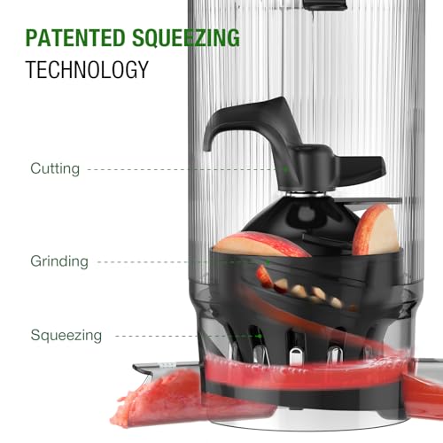 Cold Press Juicer Machine