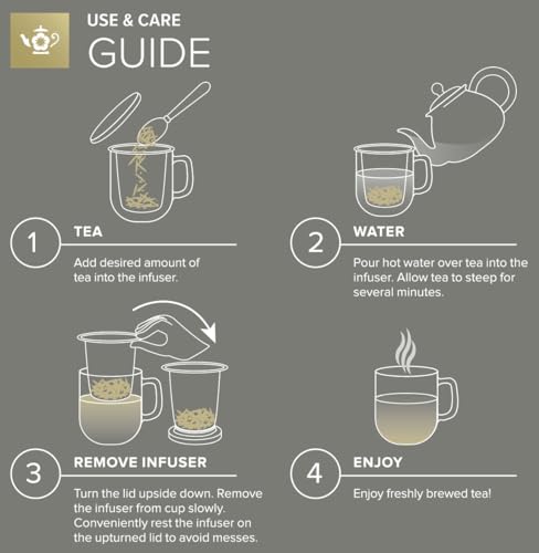 Premium Borosilicate Glass Mug with Stainless Steel Loose Leaf Tea Infuser and Lid